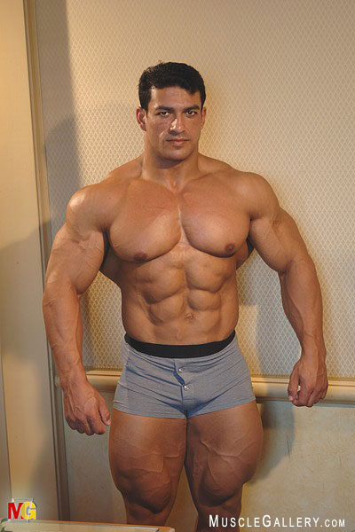 Muscle Daddy Huge Gay Bodybuilders The Ultimate Gay